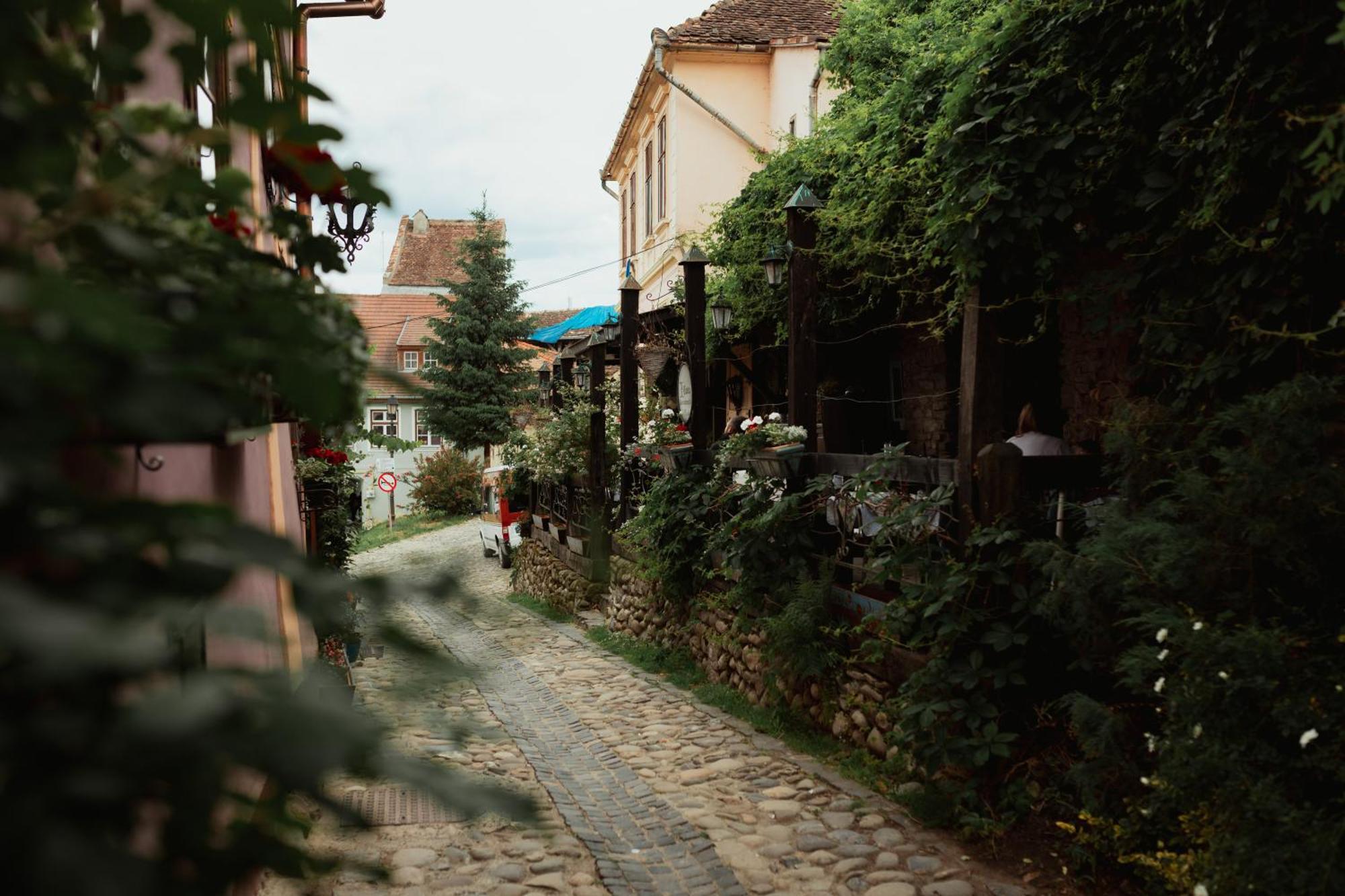 Casa Leonhardt Διαμέρισμα Σιγκισοάρα Εξωτερικό φωτογραφία